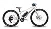 ben-e-bike TWENTYFOUR-SIX E-POWER Standardmit 250Wh Akku