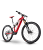 GASGAS G Enduro 3.0 29 x41cm 12S GX Red / White